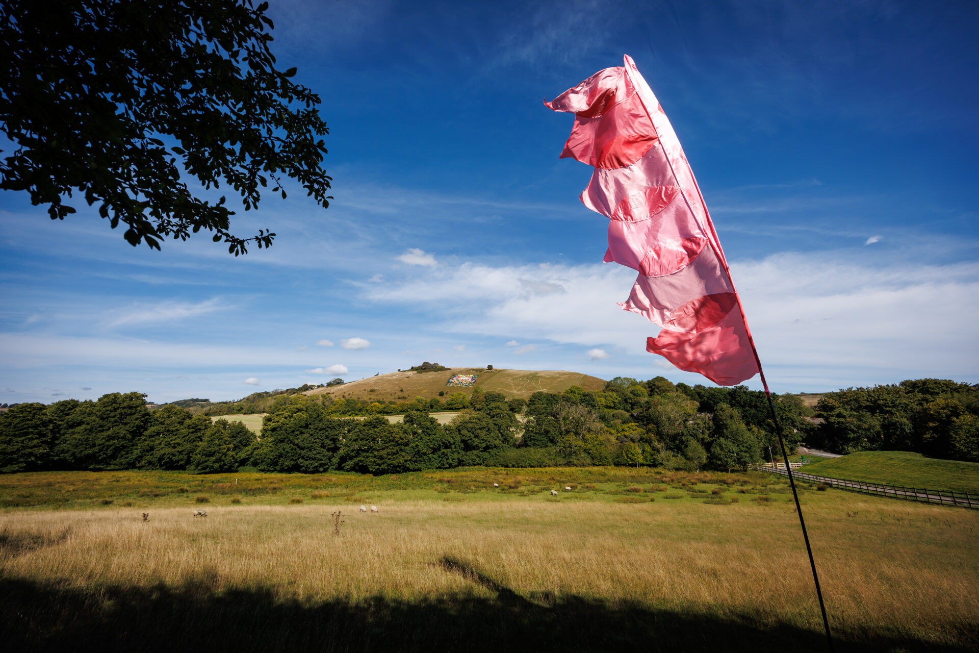 A field of green grass with a large pink flag in the foreground. A large expanse of blue sky and a tree on one side.
