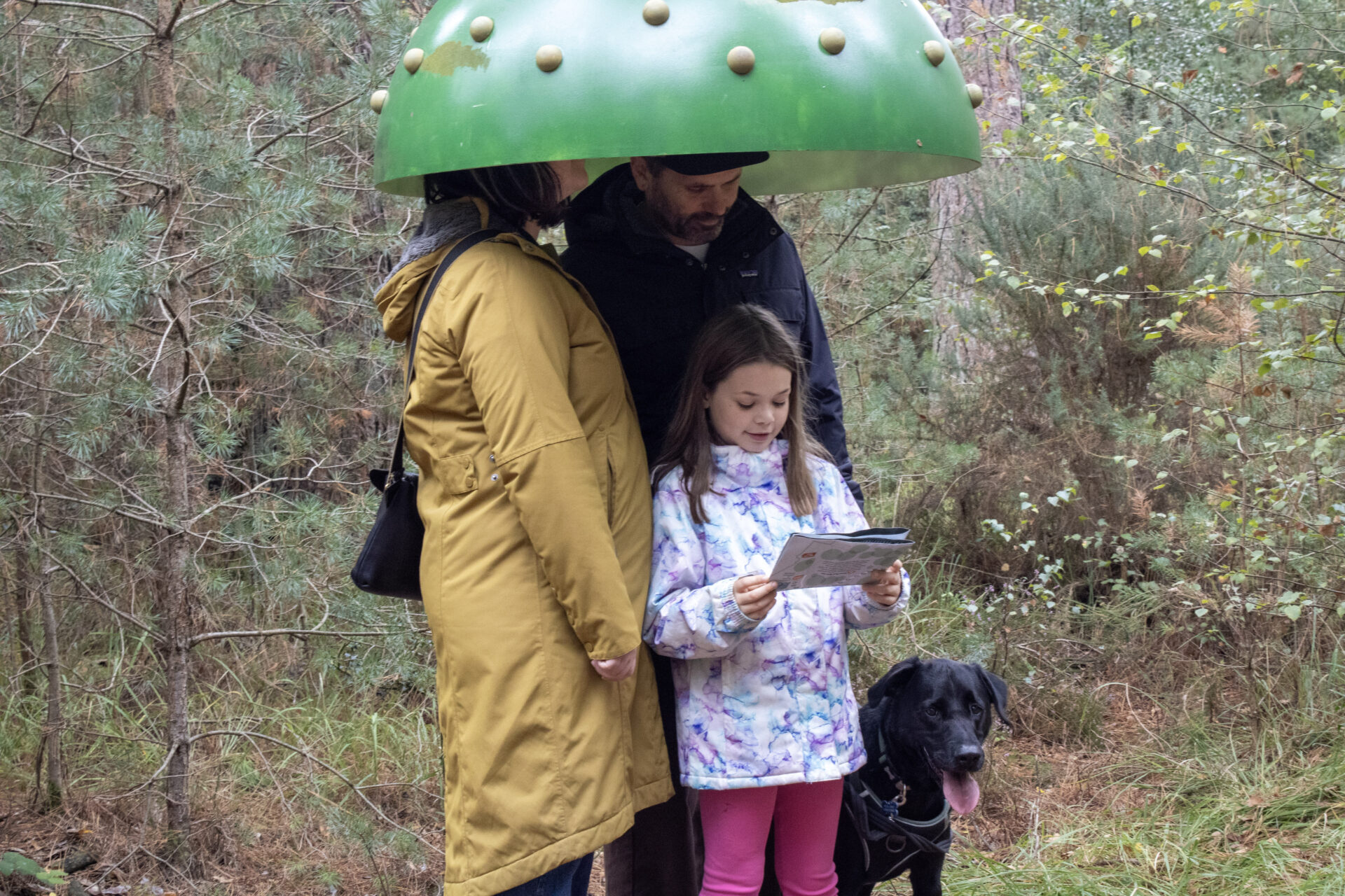 Two adults, a child and a dog stand under a large green dome, situated within a forest